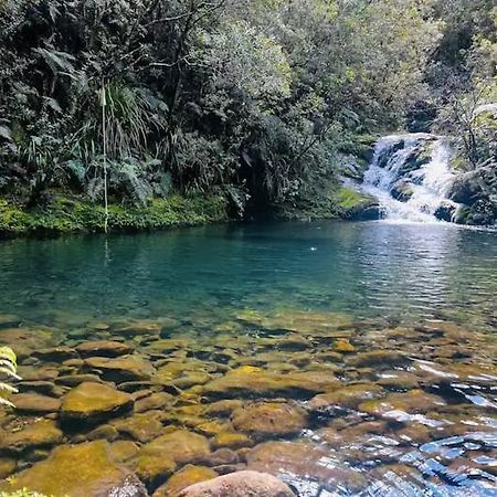 Coromandel Secluded Log Cabin Retreat Hikuai Ngoại thất bức ảnh