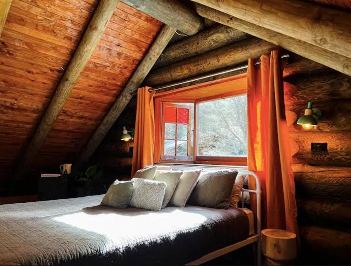 Coromandel Secluded Log Cabin Retreat Hikuai Ngoại thất bức ảnh