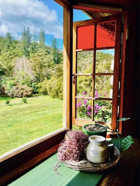 Coromandel Secluded Log Cabin Retreat Hikuai Ngoại thất bức ảnh